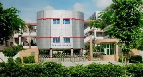 深圳龙岗区私立小学排名一览表,深圳龙岗坂田小学排名一览表