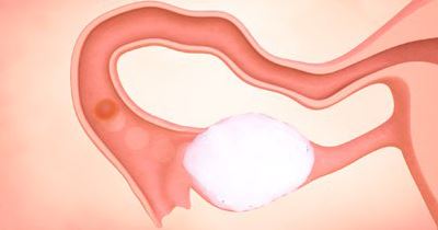 胎儿每周的发育及孕期保健（一）早孕期