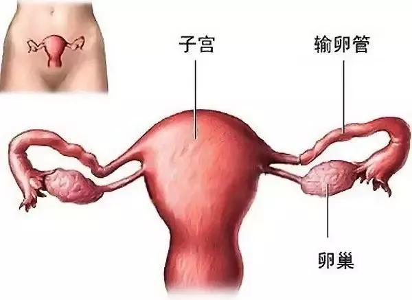 借你一双慧眼视频,借你一双慧眼防忽悠