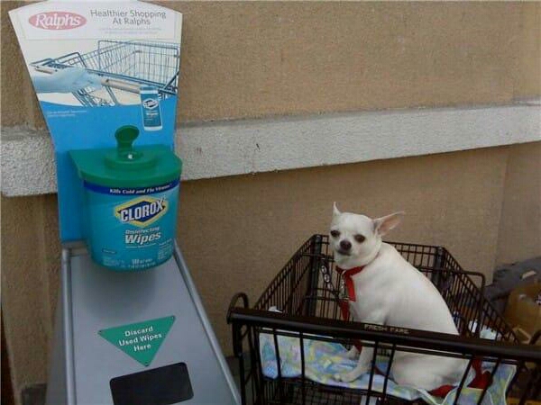 逛超市一不留神孩子被拐,逛超市把孩子弄丢了