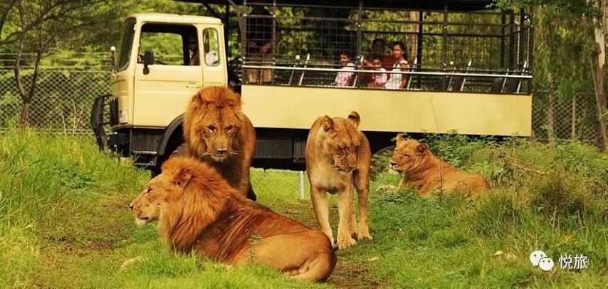 毛里求斯免签,毛里求斯在中国免签停留时间