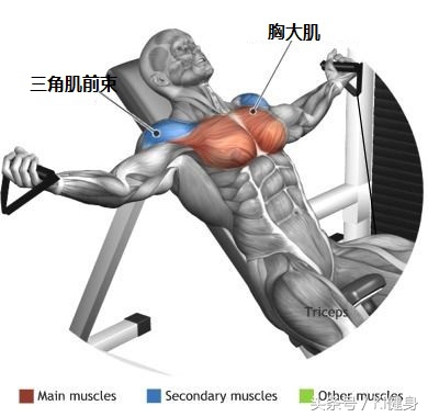 龙门架夹胸可以替换成别的动作么,龙门架夹胸安排在第几个动作