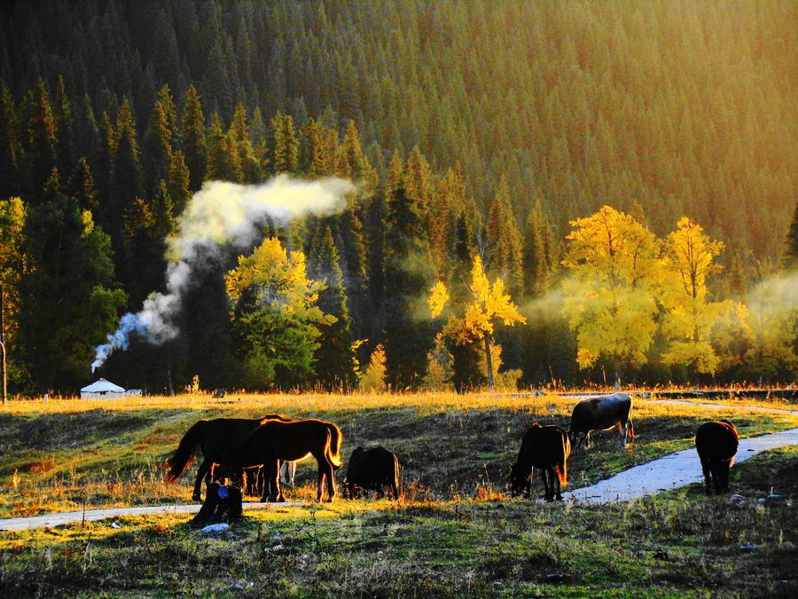畅游塞外江南｜伊犁最详细最实用的旅行指南（1）
