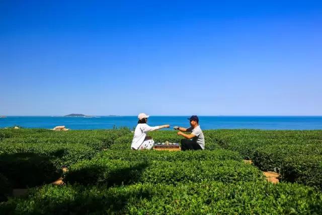 青岛周末休闲度假好地方冬天,青岛适合一家老小度假的地方