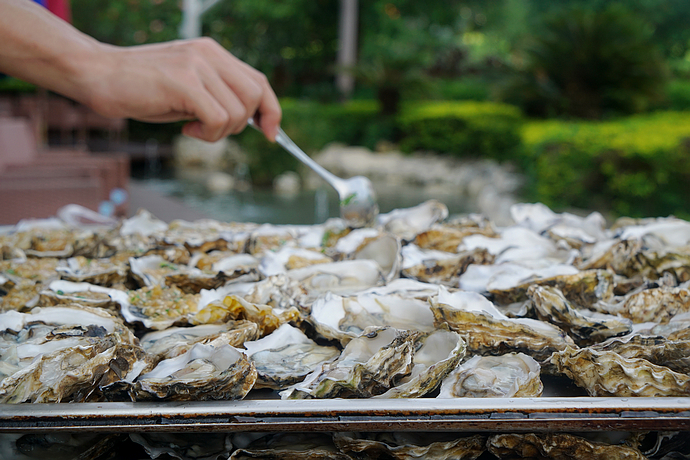 三亚最顶奢酒店,顶奢酒店三亚
