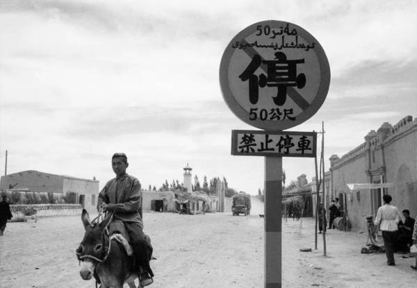 这个新西兰人用4个月走遍了中国,他镜头里的祖国你肯定没见过……