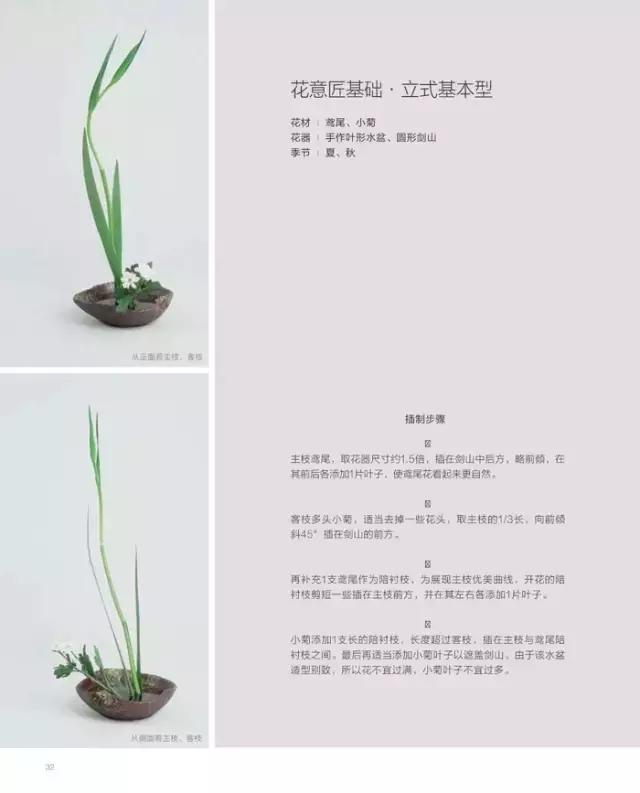 学习插花真的有前途吗,在家看书插花