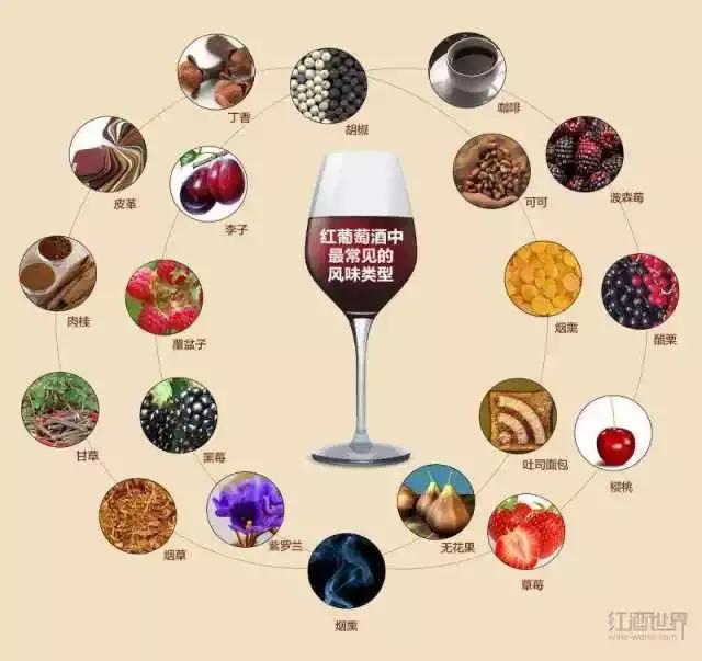 如何挑选一款适合自己的葡萄酒,小白怎么挑选适合自己的葡萄酒