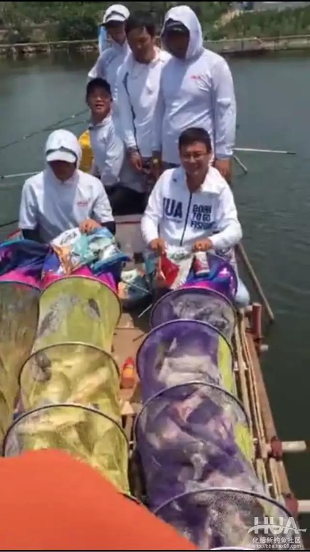 杨柏文钓鱼视频大全,杨柏文野钓视频完整版