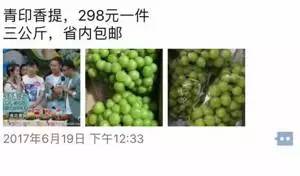 高端水果微商团购,微商水果代理平台