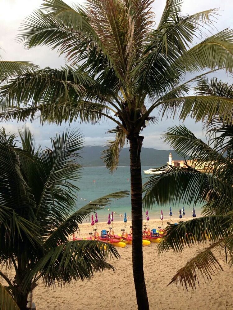海南旅行三亚旅游攻略,海南三亚夫妻结伴旅行