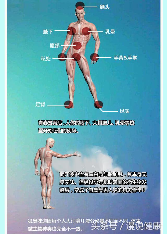 是重口味还是性魅力?印尼女孩爱闻男友腋下,男人味究竟是什么味道?