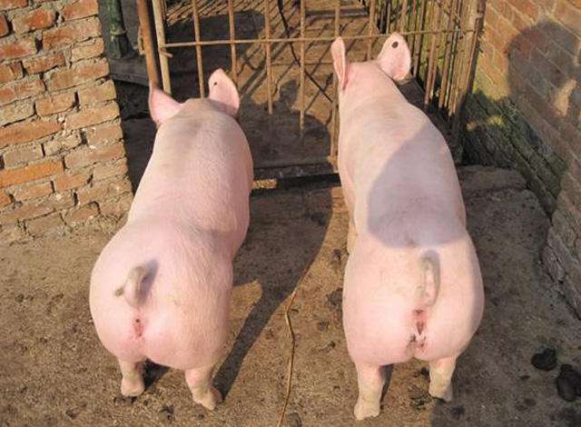 注意三个点怎么都不会刮蹭,注意这三点