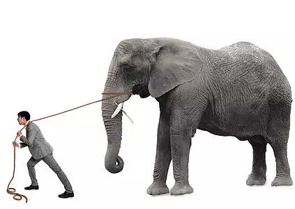 不攻自破，投资实体医院与诊所的危机已经来临，大批自认为看懂医疗的风投面临重创