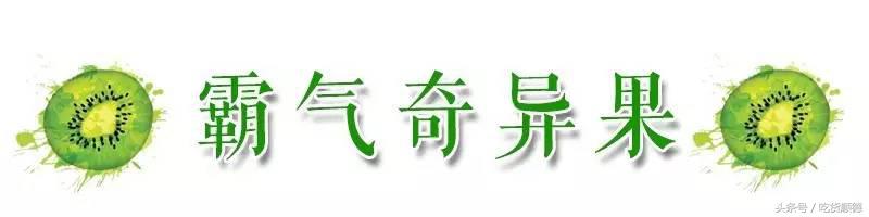 明星的奶茶推荐,tvb明星打卡的茶餐厅