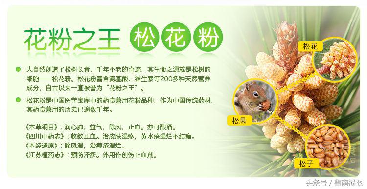 枣庄老人误信松花粉可治百病竟花千元购买
