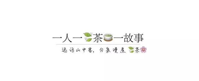 茶传媒采访视频,茶传媒深度访谈