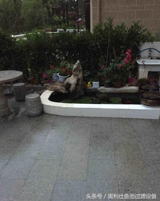 简单实用小庭院鱼池,庭院鱼池改造设计图片