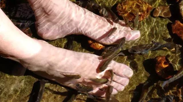 川西康定木格措,四川川西康定风景