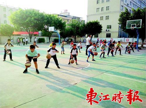 少年宫一校一品,市少年宫概况