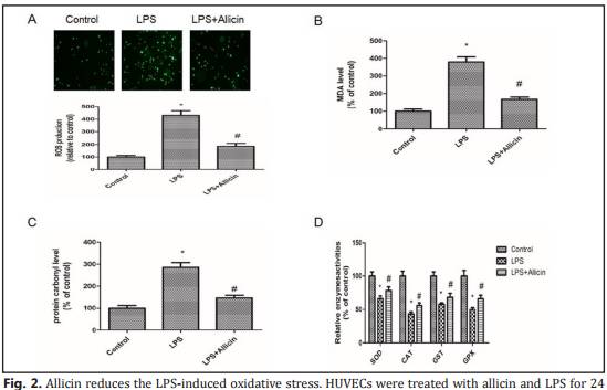 大蒜都上SCI,茅台改善肝癌也能上PlosONE,他们是怎么做到的?