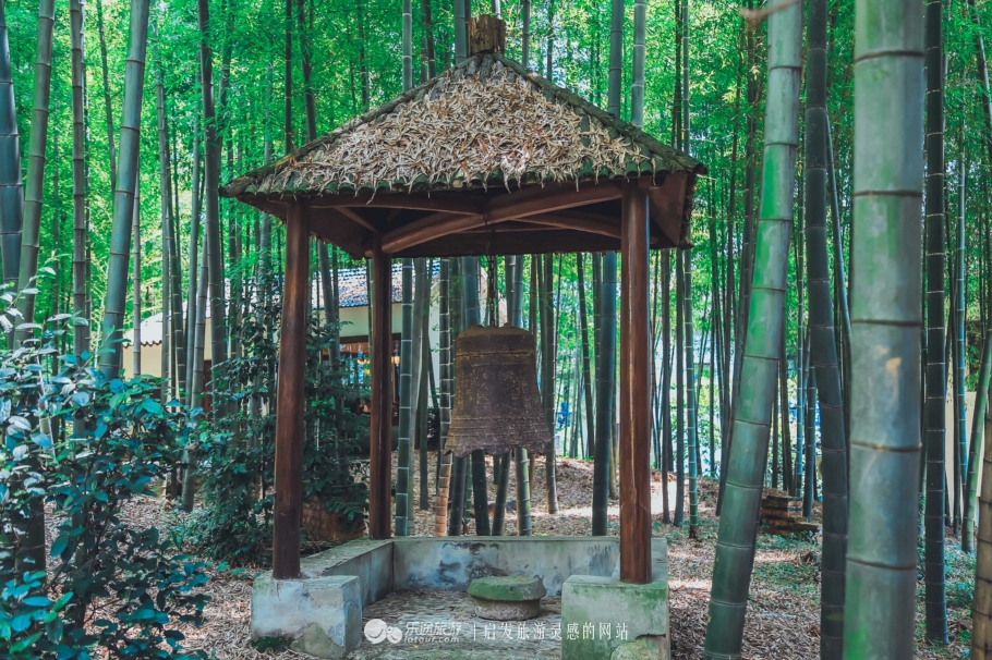 去木子山庄感受禅意，去观察奇曲茶