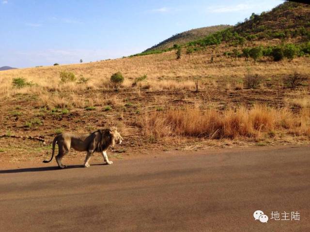 南非旅游照片,从南非回国的人