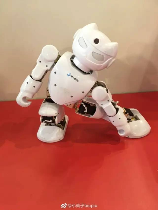 「科博随手拍」新媒体UGC志愿者眼中的第二十届科博会IV