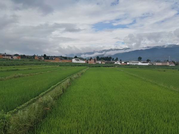 梅雨时节说“瘴气”：中国最早的地图炮？