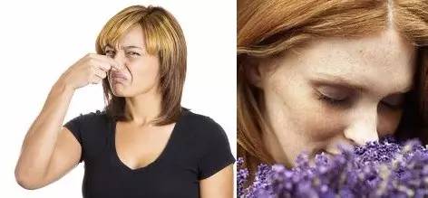 水溶肥优劣的识别,海法水溶肥真假辨别