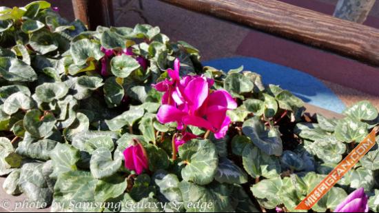 西班牙巴塞罗那旅游购物攻略,巴塞罗那拉罗卡购物村购物指南