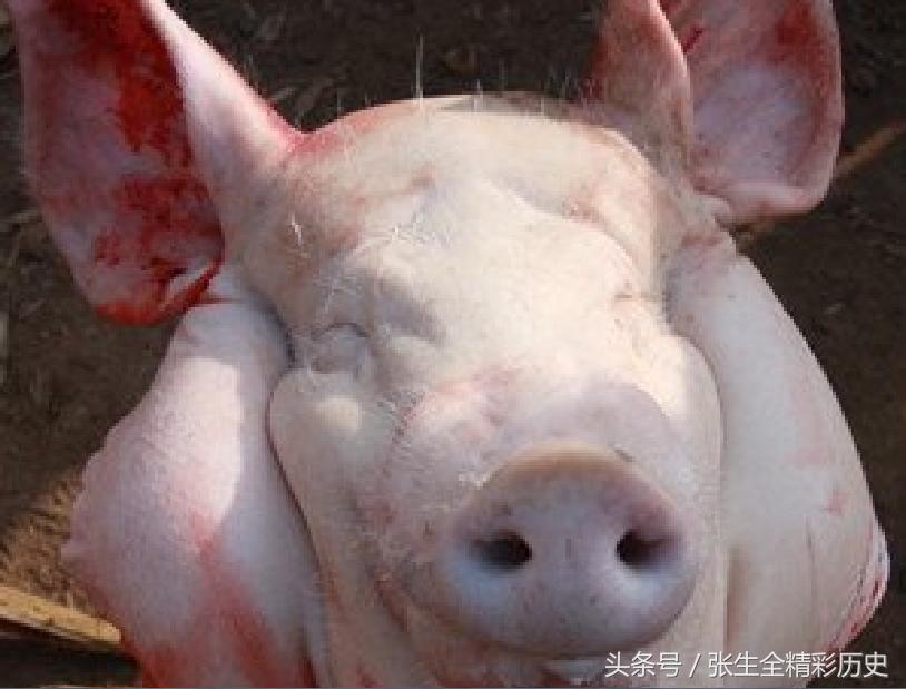 著名诗人觉得写诗没出路，想当大侠，十万钱买一宝贝，打开一看哭了