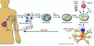 肿瘤免疫治疗的那些事,肿瘤免疫疗法系列