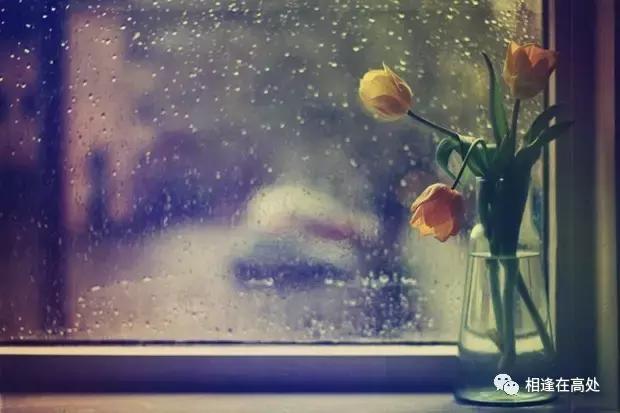 致雨季|你有你的下法,我有我的活法