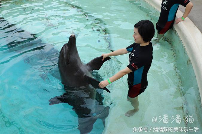 新加坡圣淘沙名胜世界小程序,新加坡圣淘沙必去的3个景点