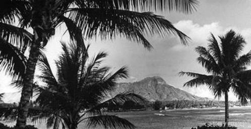 悬疑推理书籍12个嫌疑人,犯罪悬疑推理书籍十宗罪