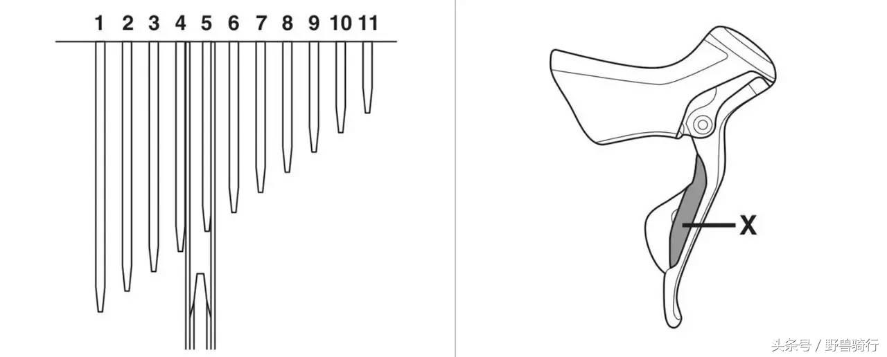 不会变速的自行车叫什么,不会变速怎么办
