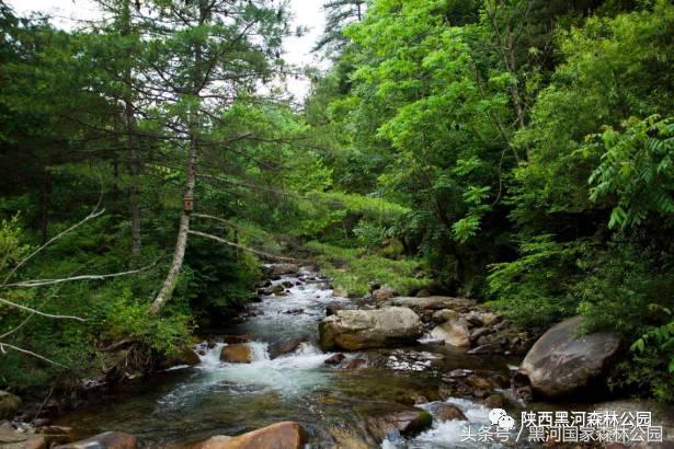 黑河风光,黑河自然风景