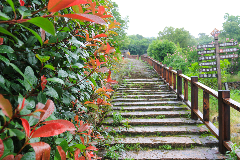 福德湾矾矿,福德湾矿洞遗址