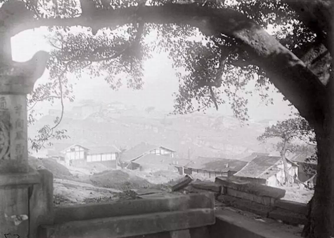 将军、老虎和宽窄巷子旁的猫猫儿巷