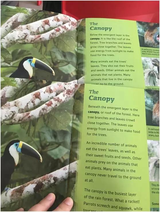 耀华国际教育学校北京,耀华国际学校什么样