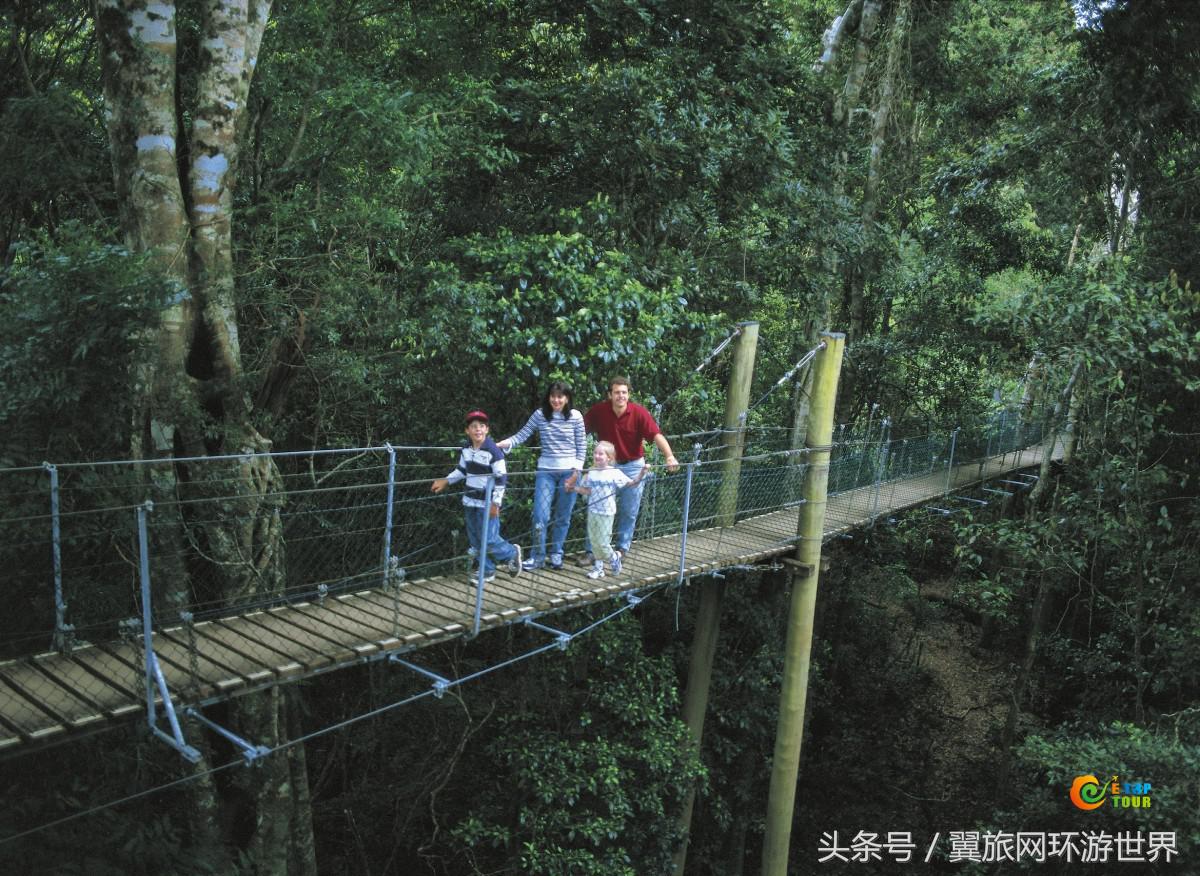 暑期去哪嗨？昆士兰100个亲子旅行项目等着您