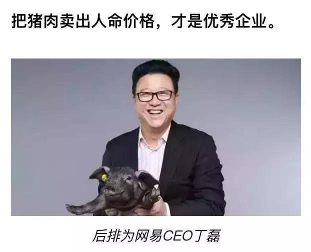 丁磊养猪场现场实拍图,丁磊养猪场视频完整版