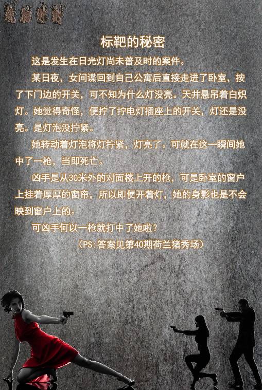 秘鲁豚鼠纪录片,豚鼠秘鲁荷兰猪