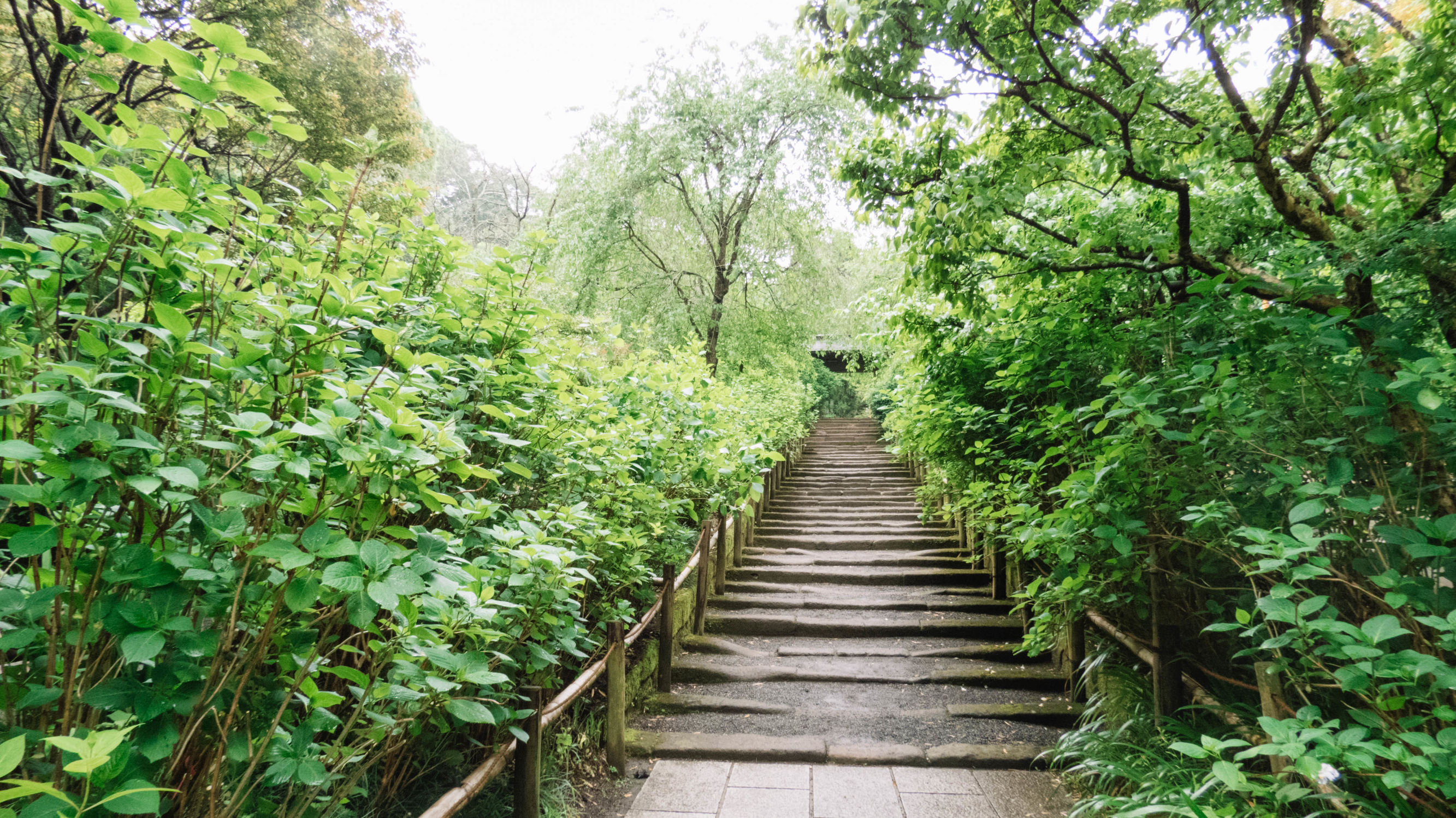 东京镰仓横滨旅游攻略,东京镰仓箱根伊豆富士山路线