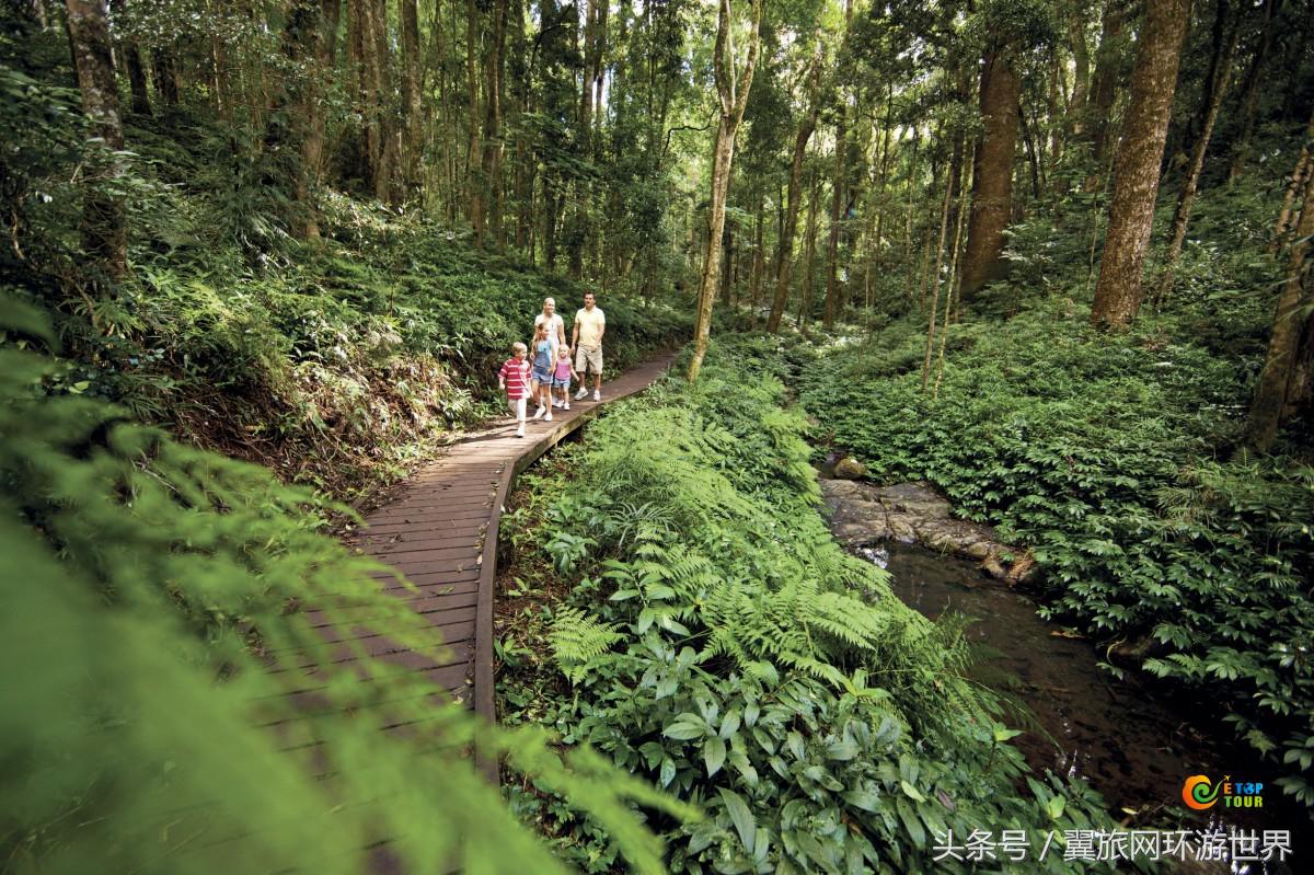暑期去哪嗨？昆士兰100个亲子旅行项目等着您