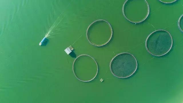 贵州兴义夏天有什么好玩的,兴义野外适合夏天玩的地方