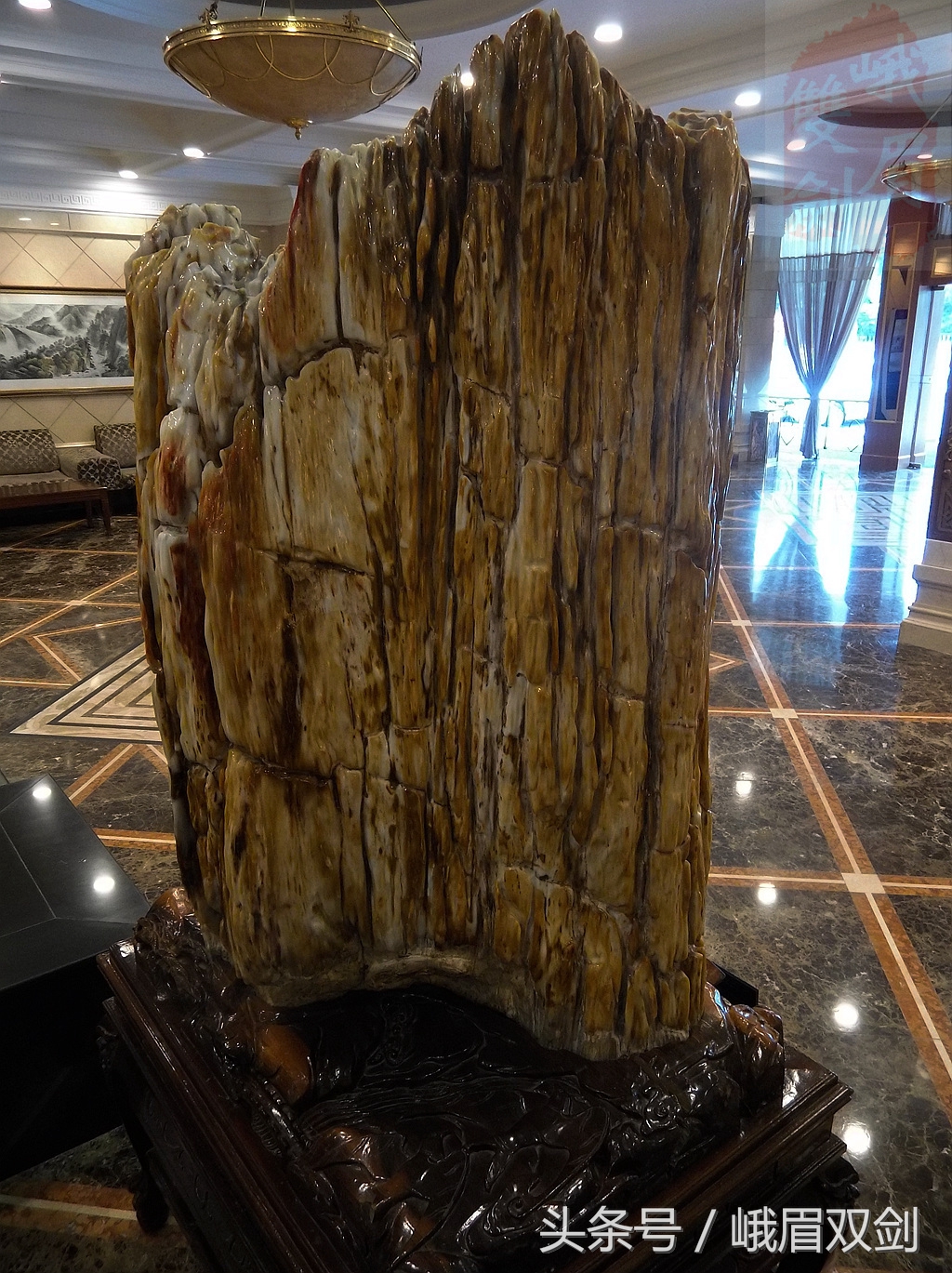 树化石收藏价值高吗,玉化树化石