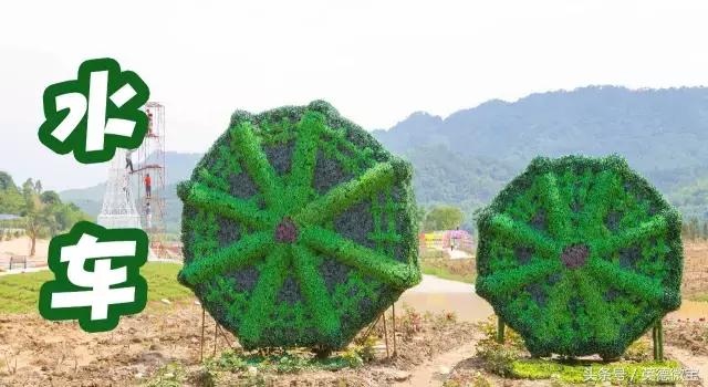 刘家旺普罗旺斯薰衣草花海,法国普罗旺斯薰衣草花海唯美视频