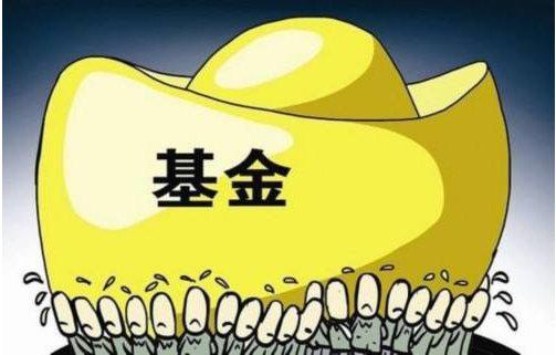 货币基金利率风险,货币基金收益与风险